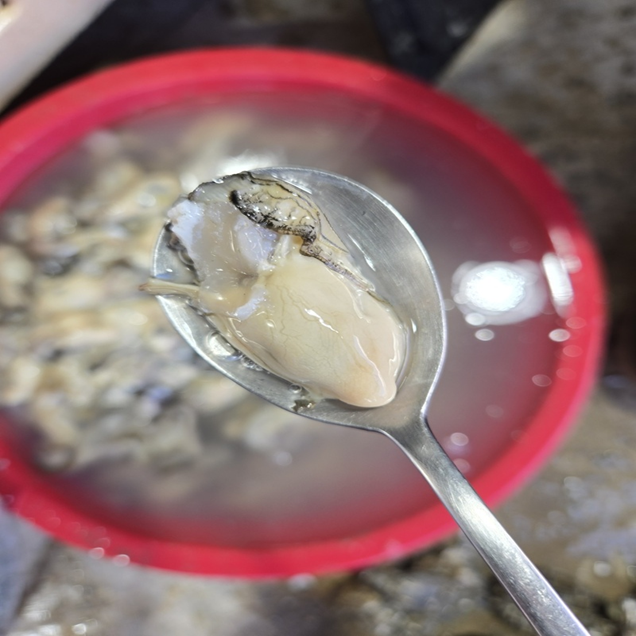 (홍지수산) 고흥 여수 남해안 석화 생굴 깐굴 알굴 500g 1kg14042