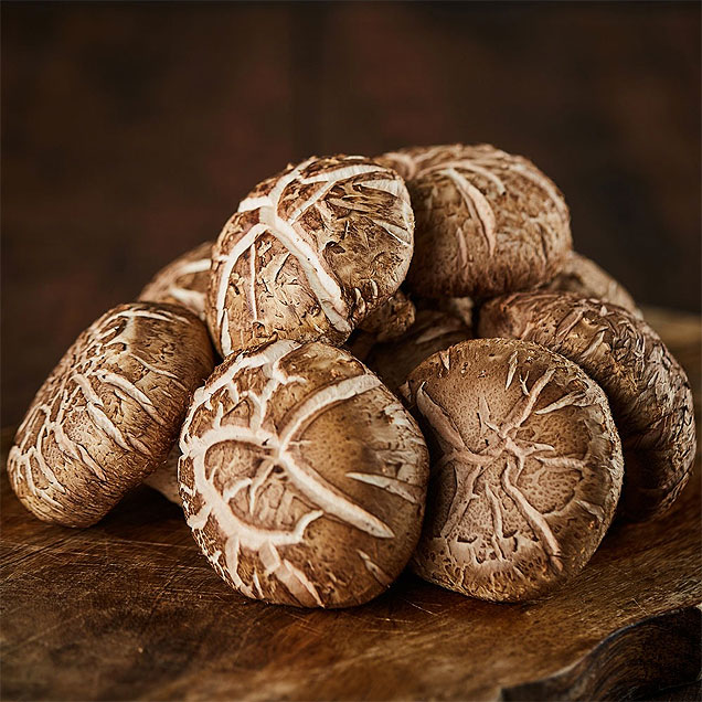 [Live] (청자골강진표고) 생표고 버섯 상품 1kg14075