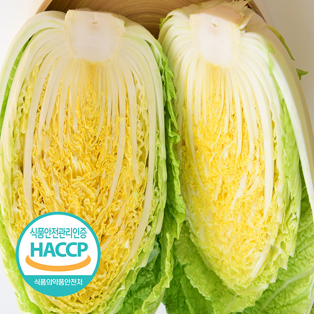 [25김장대전](그린스마일) [예약판매] 해썹인증 해남 절임배추 10kg 3-5포기 절인 김장 김치 PLS14077