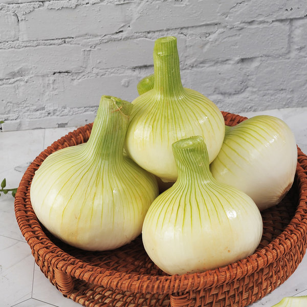 [aT농할](농할 할인)(바담) 25년산 양파 중소혼합 3kg~10kg14337