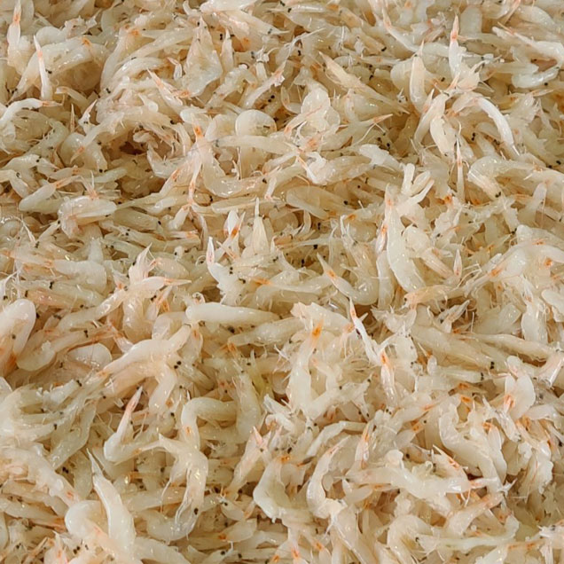 [25김장대전] (베리굿스) 신안산 새우젓(추젓 특상품 ) 5kg14412