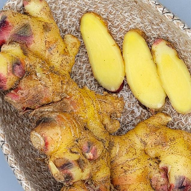 [25김장대전] (베리굿스) 25년 수확한 생강 3.5kg (특품)14417