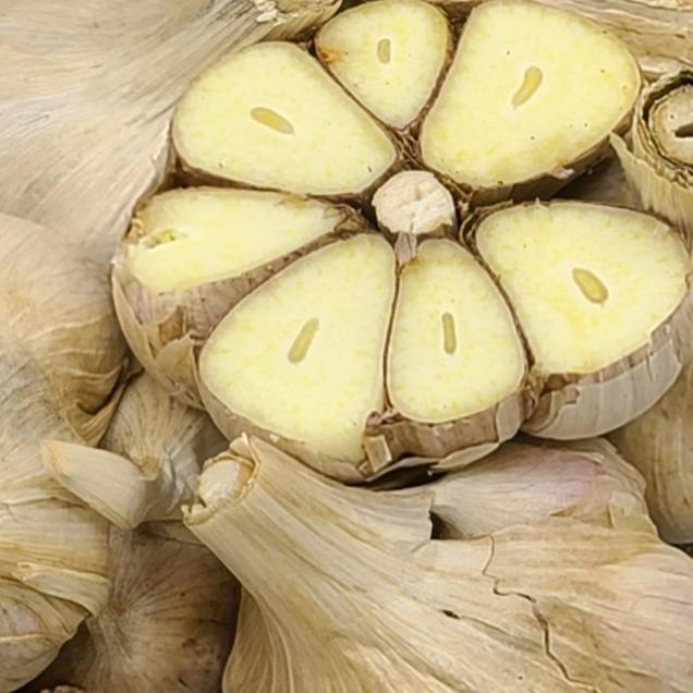 [25김장대전] (베리굿스) 25년산 햇 통마늘 (특/대)14419