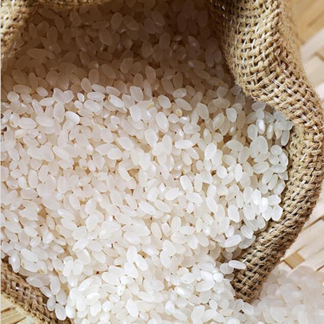 [해남미소] 오케이라이스센터 땅끝햇살 수(새청무) 10kg14440