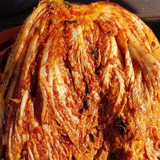 [25김장대전] (땅끝애식품) 땅끝애 김치 10kgg14482