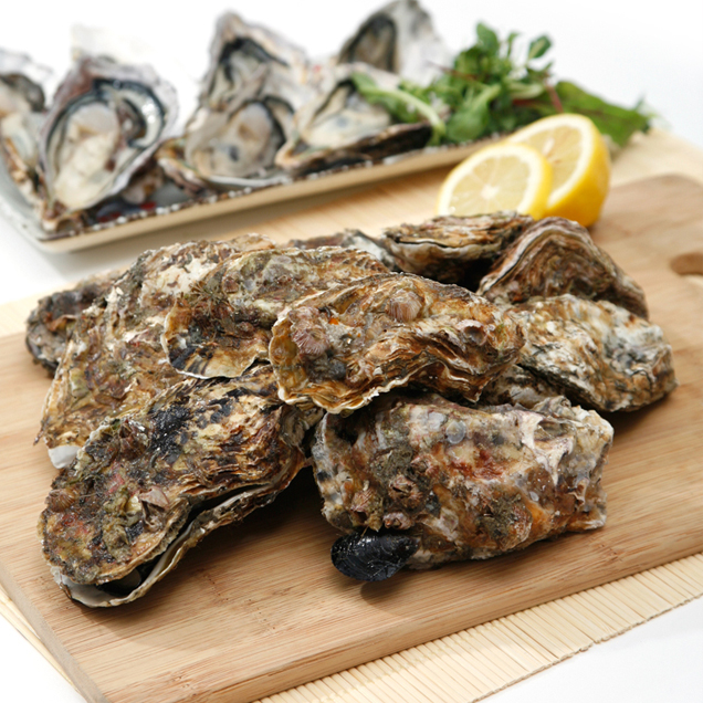 (푸릇푸릇) 여수 프리미엄 석화 10kg + 세척솔증정 각굴 당일조업 14488