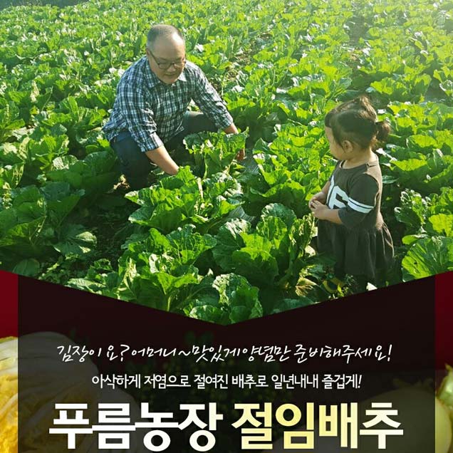[25김장대전] (푸름농장) [GAP인증] 해남 절임배추 20kg 예약주문 도착보장14490