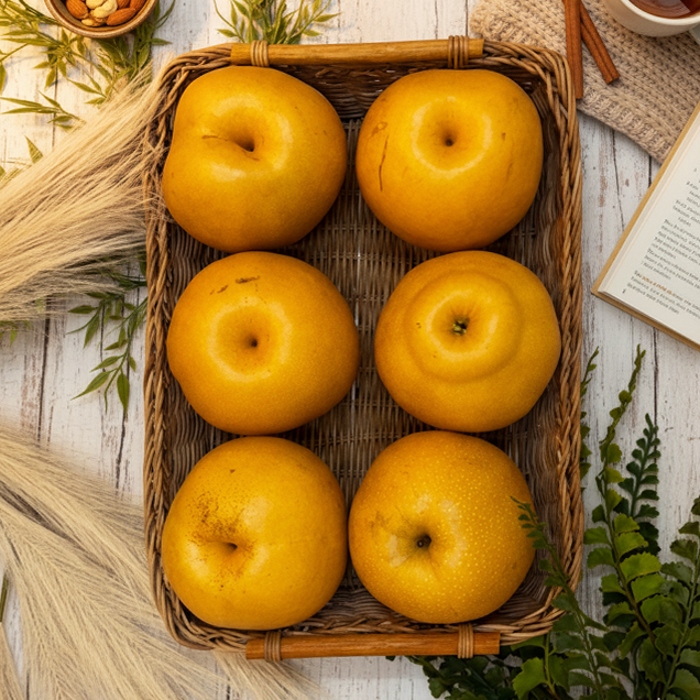 (나주대상배) GAP인증 가정용 나주신고배 5kg/7.5kg/7.6kg/7.7kg14516