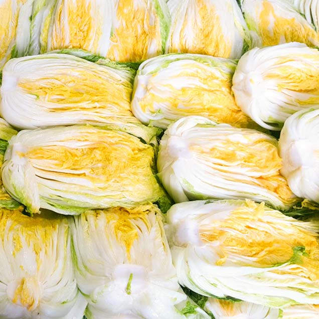 [25김장대전] [예약판매] (더디오) 단단하고 속꽉찬 해남절임배추 20kg용14523