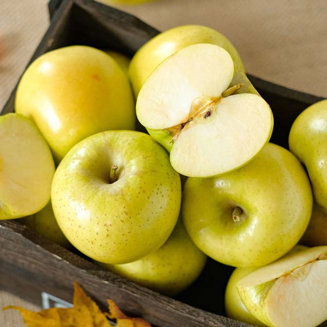 (에코한마음) 새콤달콤 황금 시나노골드 사과 5kg 실속형14592