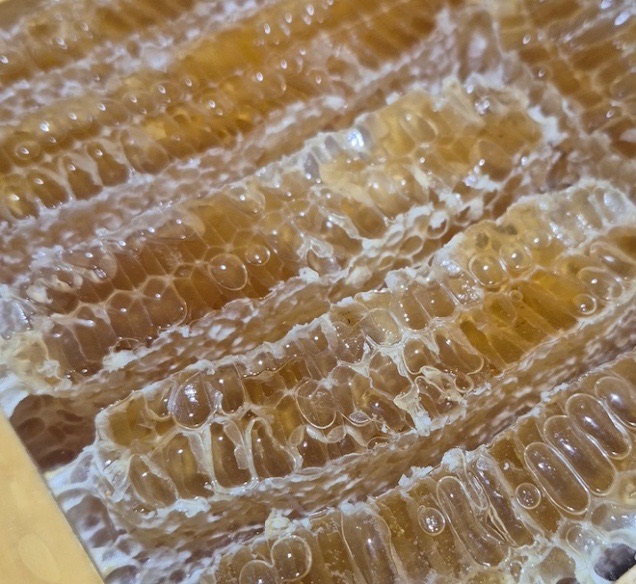 (호렙농원)자연이 빚어낸 벌꿀집 벌집꿀 가정용 업소용 (3.2kg~7kg 무게 랜덤)14658