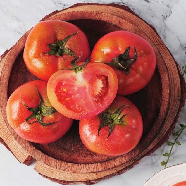 (전남생산자협동조합) 전남화순 완숙토마토 1.5kg (중소과/대과)14670