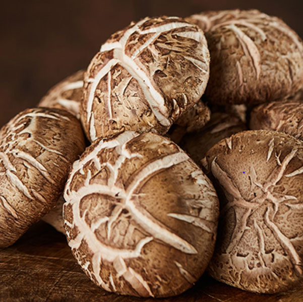 (전남생산자협동조합) 무농약 표고버섯 실속형(파지) 1kg 외14685