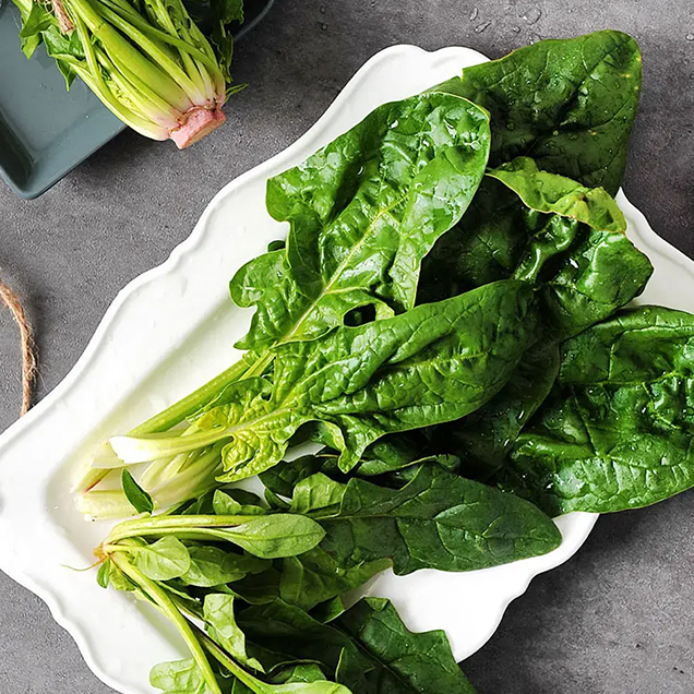 (바담) 해풍맞고 자란 신안 비금섬초 14726