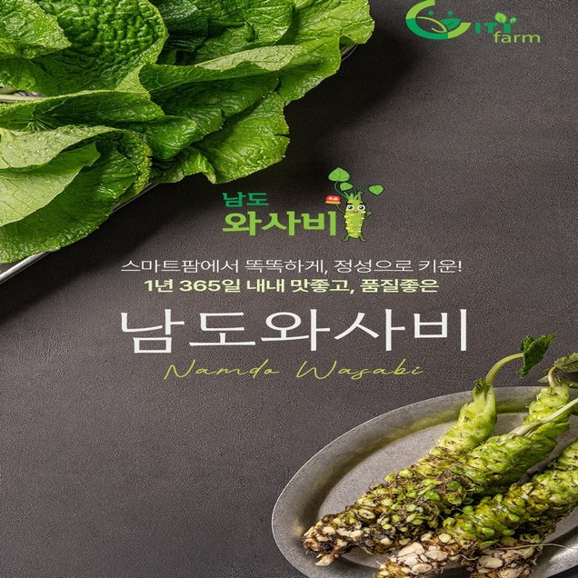 (시티팜) 생와사비 근경30g+어린잎100g14930