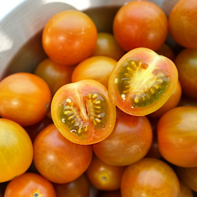 [연말기획전] (정일품) 꼭지없는 스낵 토마토 애플 토마토 1kg 2kg 5kg15118