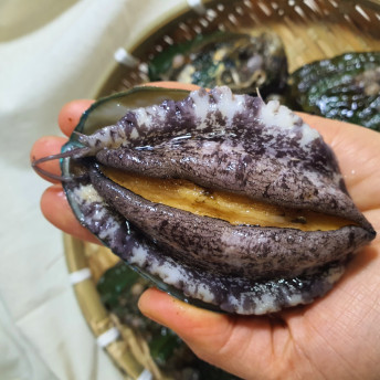 [연말기획전] (황제수산)살아있는 완도 활전복 대전복 1kg 10-12미15145