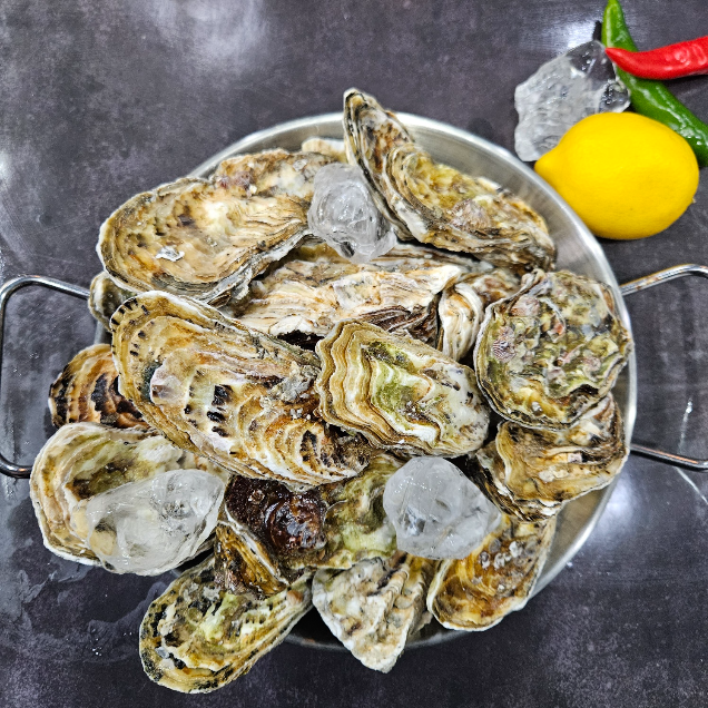 [연말기획전] (황제수산) 브러쉬솔세척 여수 각굴 석화  5kg15148