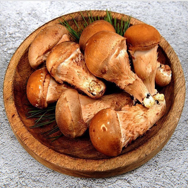 [연말기획전] (바담) 곡성 산지직송 무농약 참송이 버섯15150