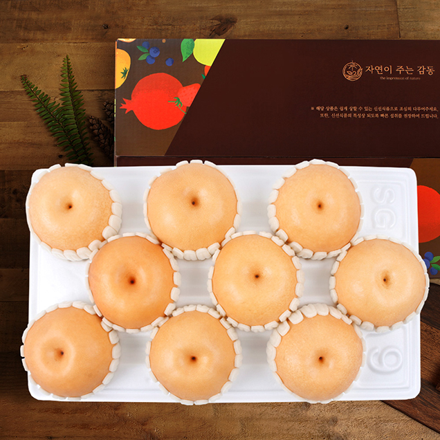 (신선행) 나주배 5kg 9-10과 실속형15188