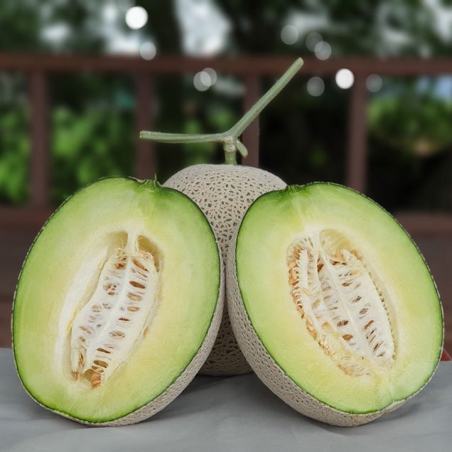 (푸르름) 달콤하고 품질좋은 멜론 4kg 내외(2수)4216