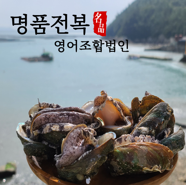 (명품전복)완도 명품 활전복 중 18-20미 1kg[손질솔 증정]5097