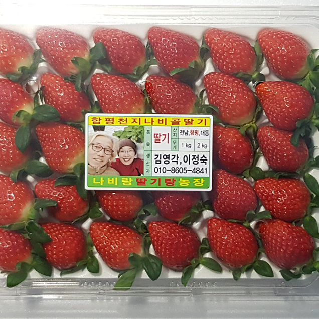(나비랑딸기랑) 청정함평 스마트딸기 GAP 설향 딸기 500g/800g5486