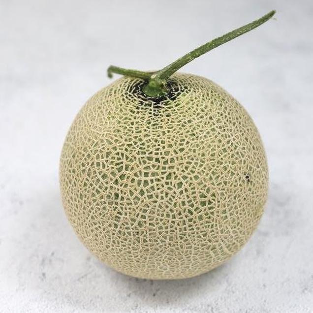 (자연과농부들)친환경 메론1통7237