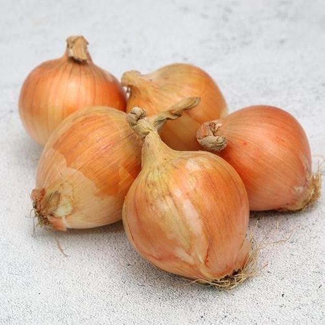 (자연과농부들)친환경 양파 1kg7253