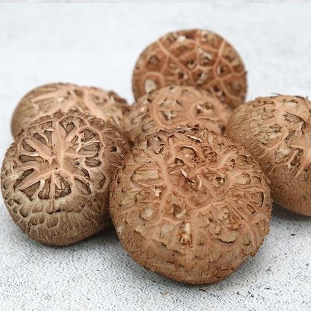 (자연과농부들)친환경 표고버섯 200g7259