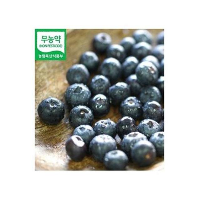 (자연과농부들)친환경 블루베리생과 500g(산지발송)7298