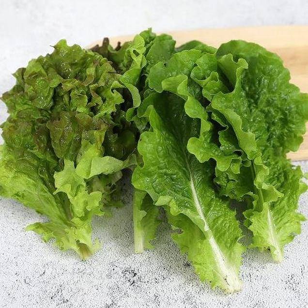 (자연과농부들)친환경 상추 120g(적,청)7316