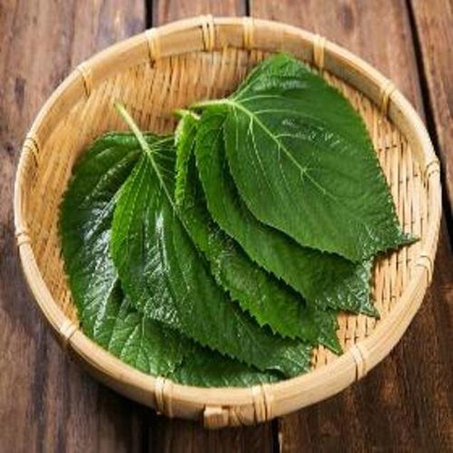 (담양농협)친환경 깻잎1봉(30장)7438