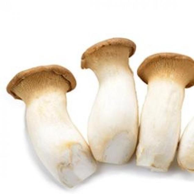 (담양농협)친환경 새송이버섯 300g7464