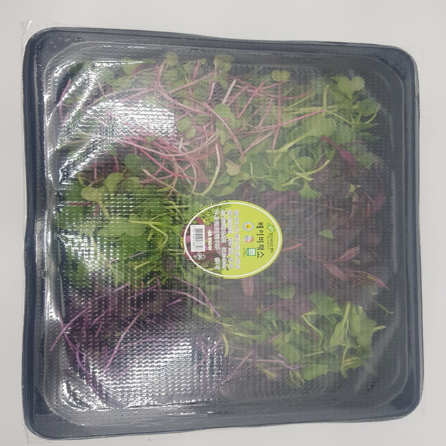 (호남권물류센터)친환경 베이비채소 500g7533