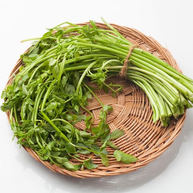 전남 돌미나리 세척 미나리 500g 1kg 대용량8640