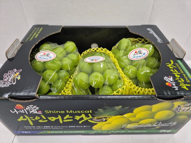 (월야농협) 나비애 샤인머스켓 2kg/4kg8782