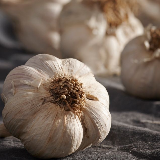 [25김장대전] (온담) 단단한 국산 통마늘 (1kg/2kg)8817