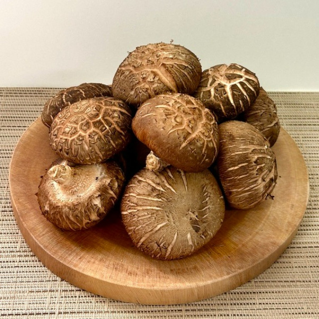 국내산 생 표고버섯(실속형) 500g,1kg8941