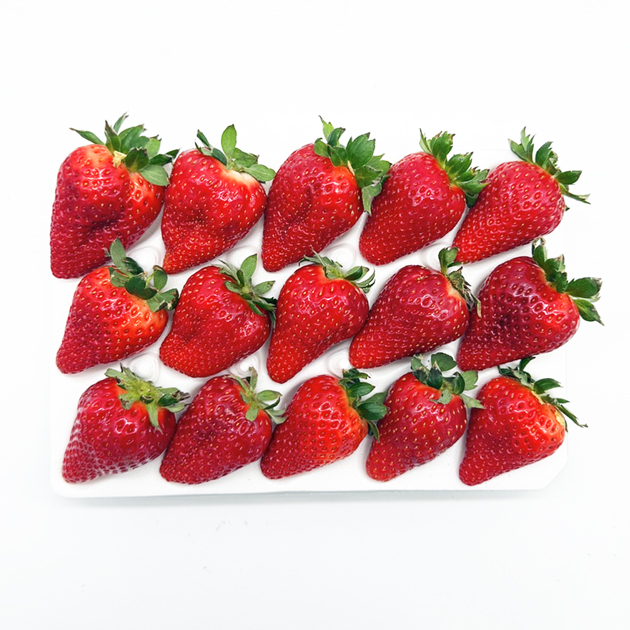 https://obj-g-1.ktcloud.com/product/9154_PRODUCT_487d0b8f-b8fc-4f42-8006-7acba6de0782