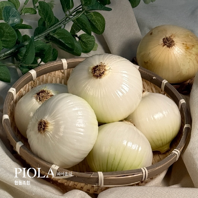 [김치식자재] (피어올라 협동조합) 전라도 양파 10kg(중대혼합)9064