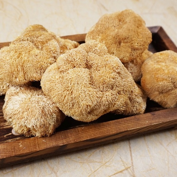(반석대군농장) 건노루궁뎅이버섯  50g9115
